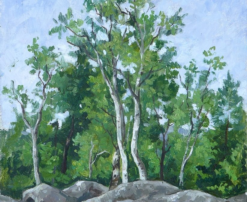 Mesteceni pe stânci