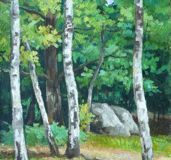 Mesteceni din pădurea Fontainebleau